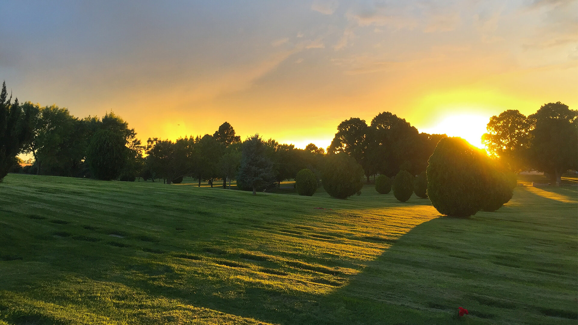 Home Sunset Memorial Park