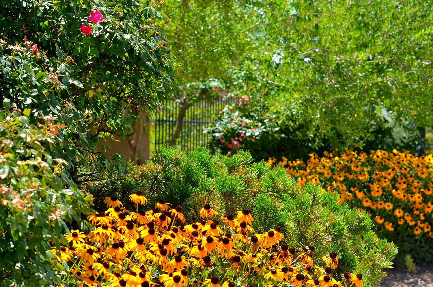 Pre Planning Sunset Memorial Park